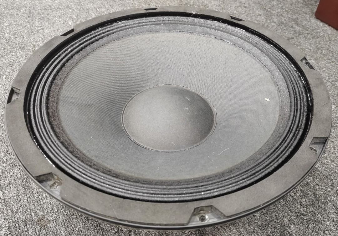 Brand New 600W 12″ Woofer